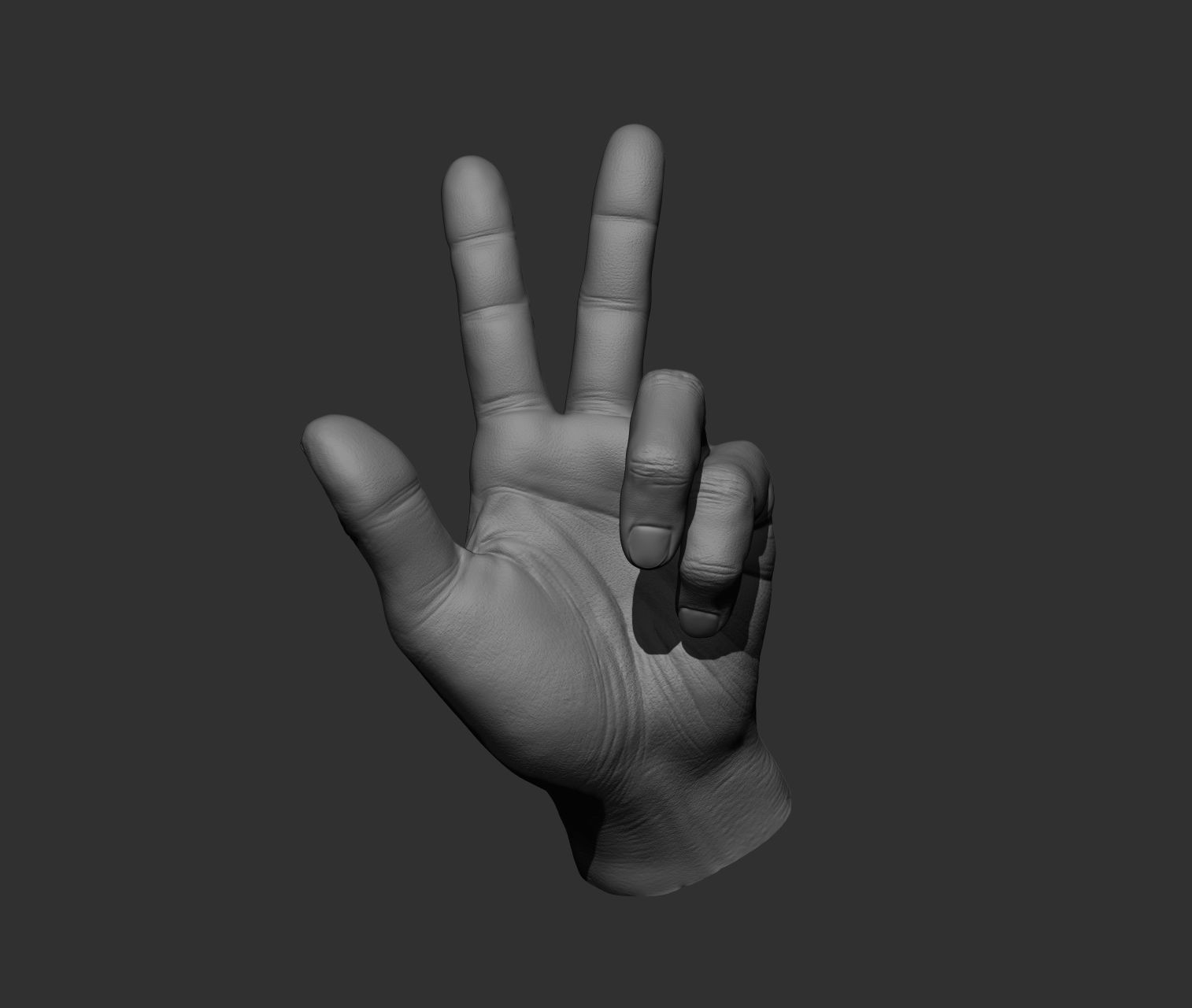 10 Male hands  3D model_3