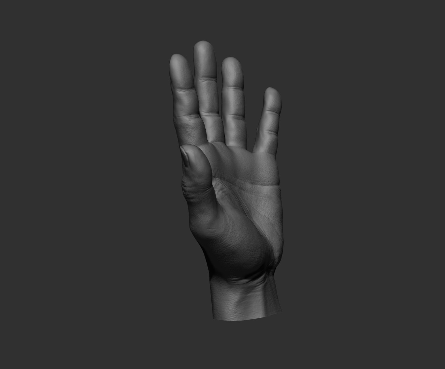 10 Male hands  3D model_85