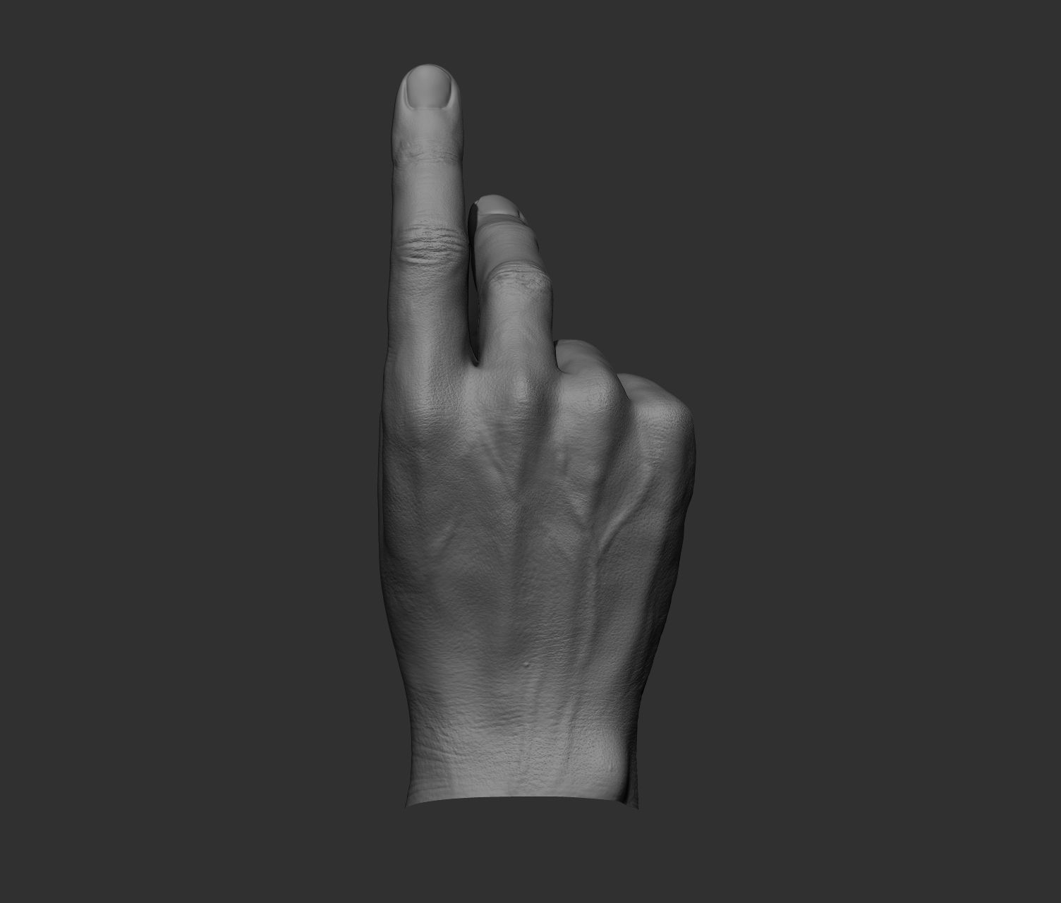 10 Male hands  3D model_19
