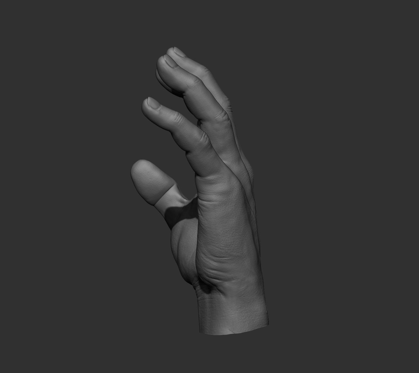 10 Male hands  3D model_64