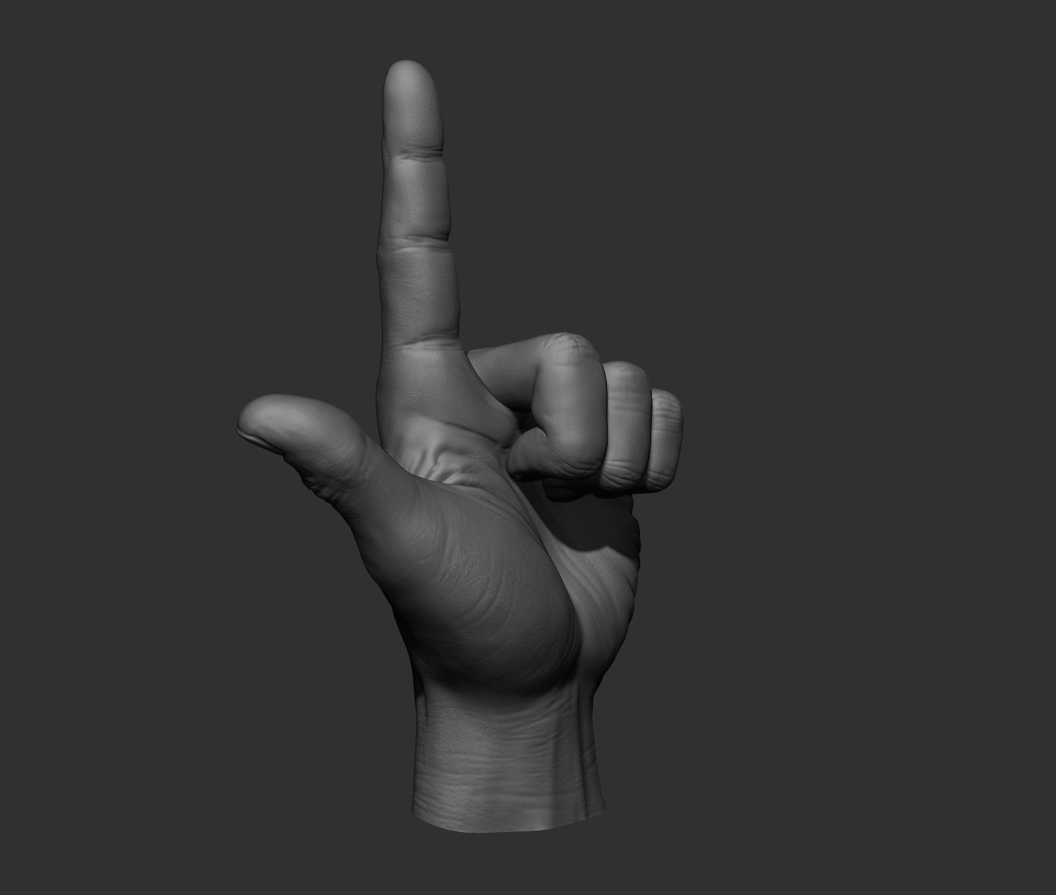 10 Male hands  3D model_33