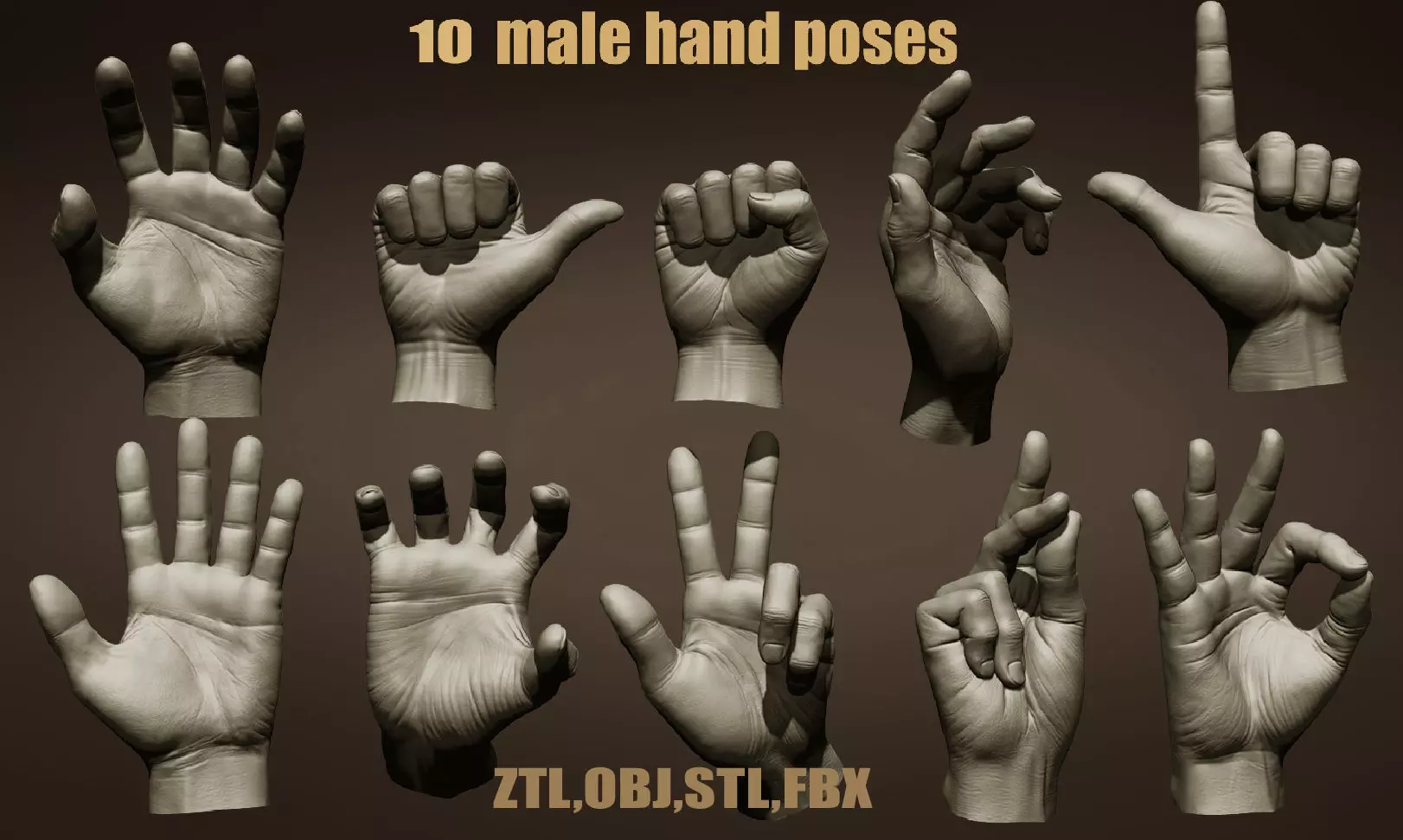 10 Male hands  3D model_0