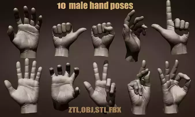 10 Male hands  3D model