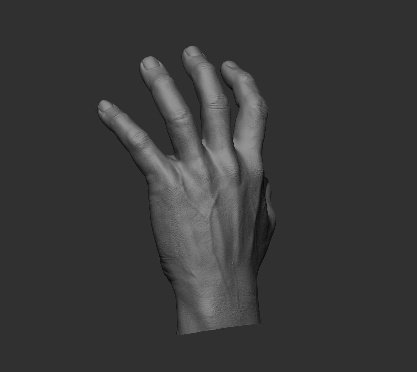 10 Male hands  3D model_65
