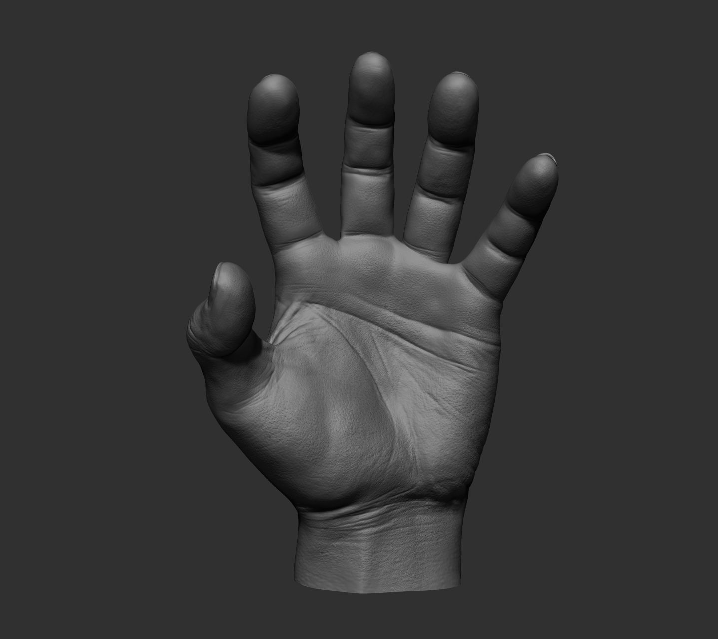 10 Male hands  3D model_67
