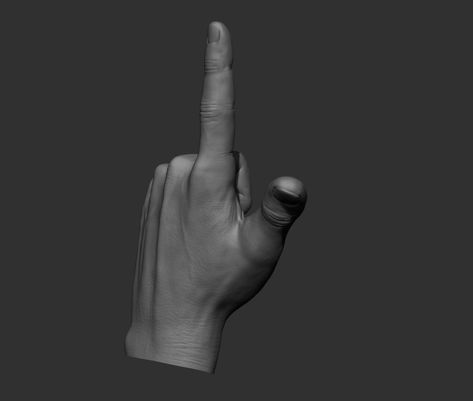 10 Male hands  3D model_31
