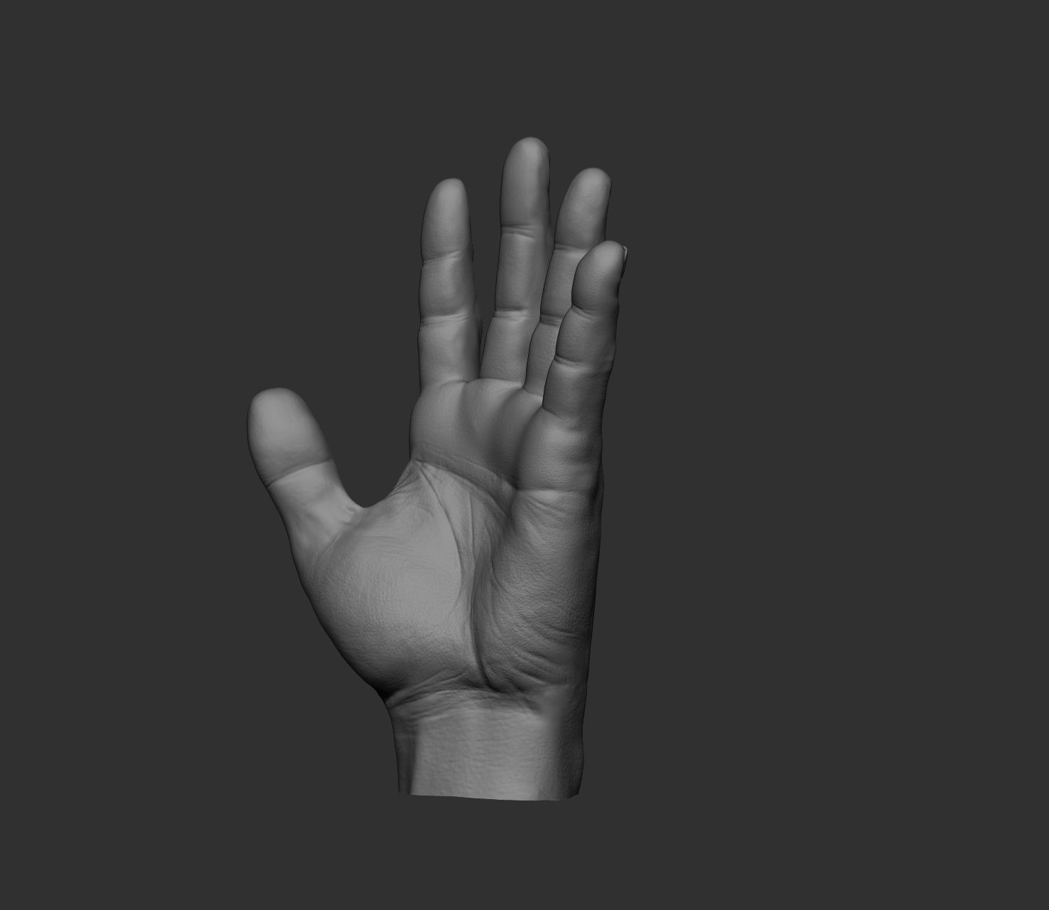 10 Male hands  3D model_82