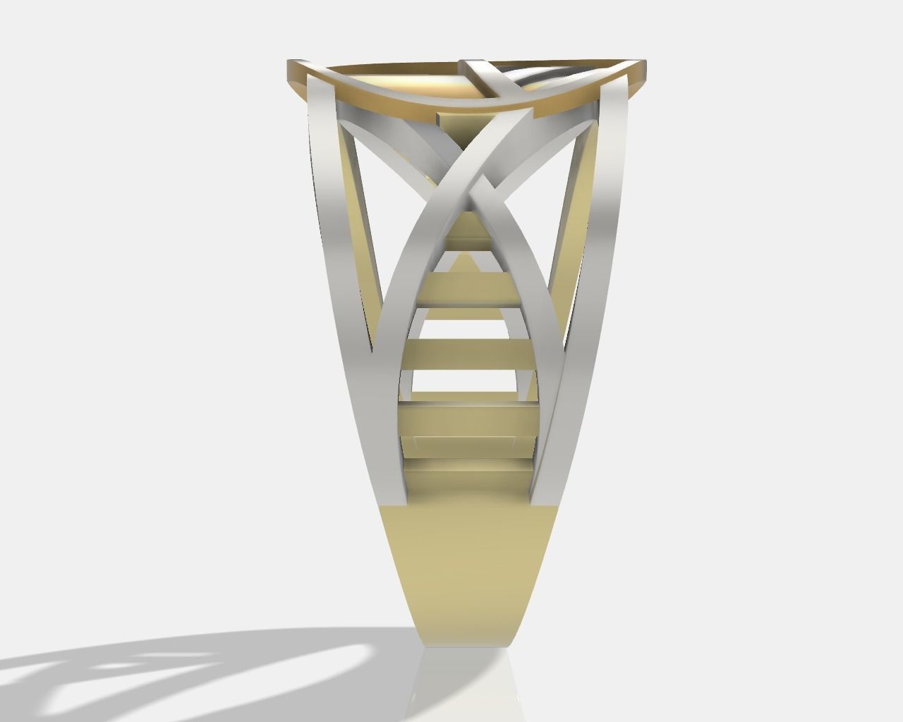 DNA ring 3D print model_8