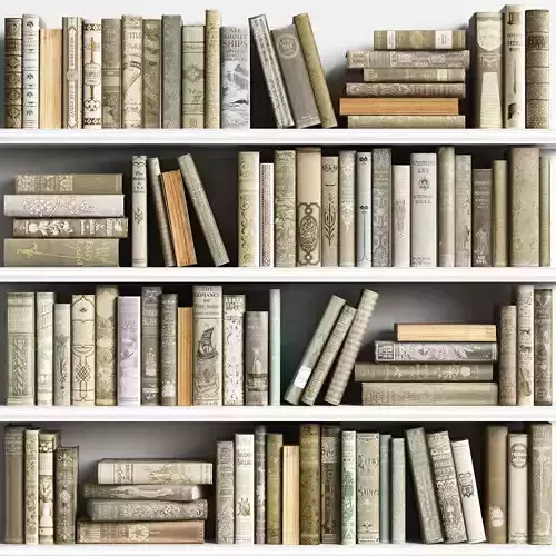Classic Books 20 3D model