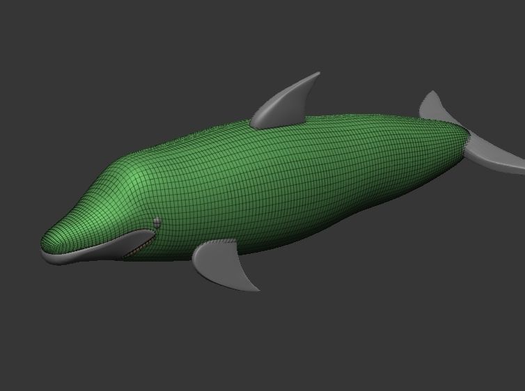 Florida Dolphin 3D Model 3D print model_4