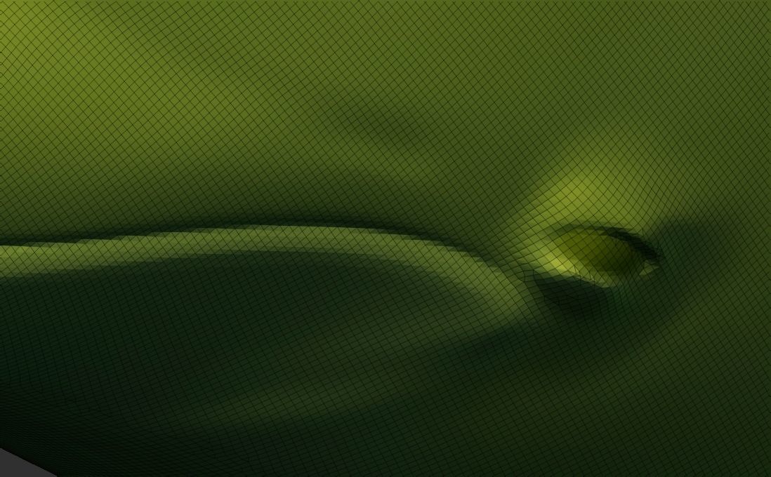 Florida Dolphin 3D Model 3D print model_8