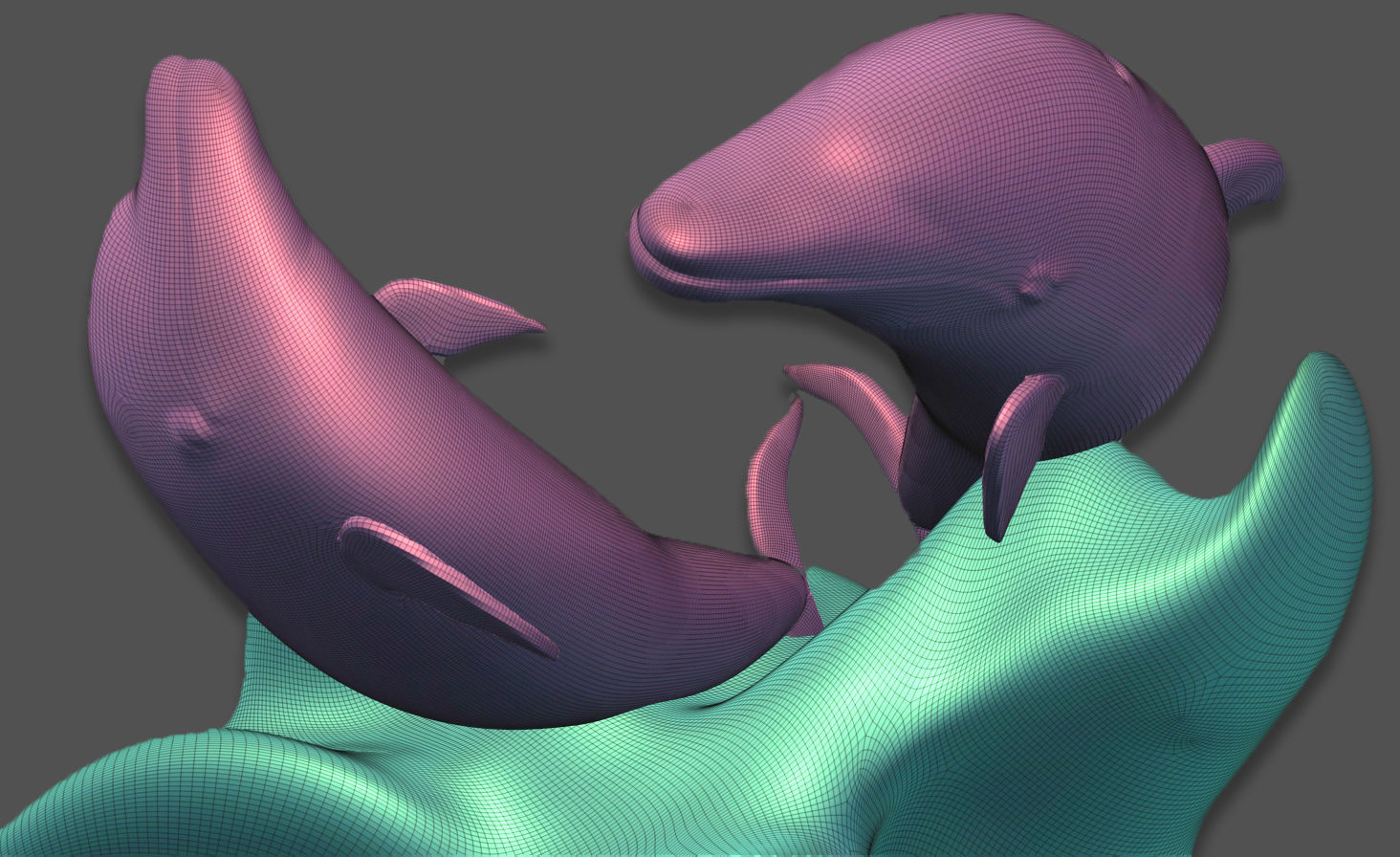 Florida Dolphin 3D Model 3D print model_6