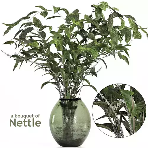 A bouquet of Nettle and Magnolia 3D model