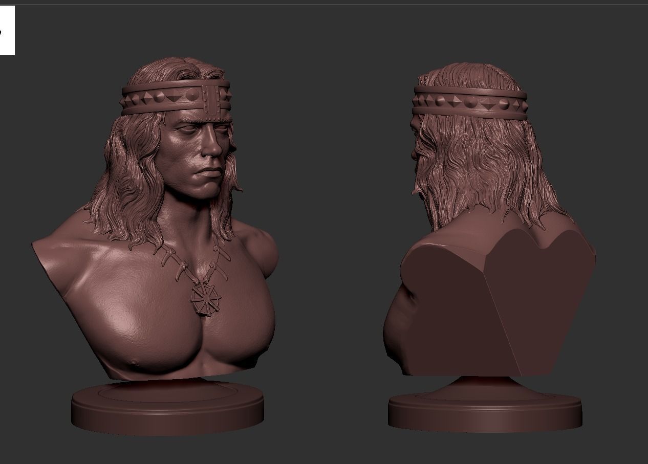 Conan - Arnold Schwarzenegger Bust 3D print model_12