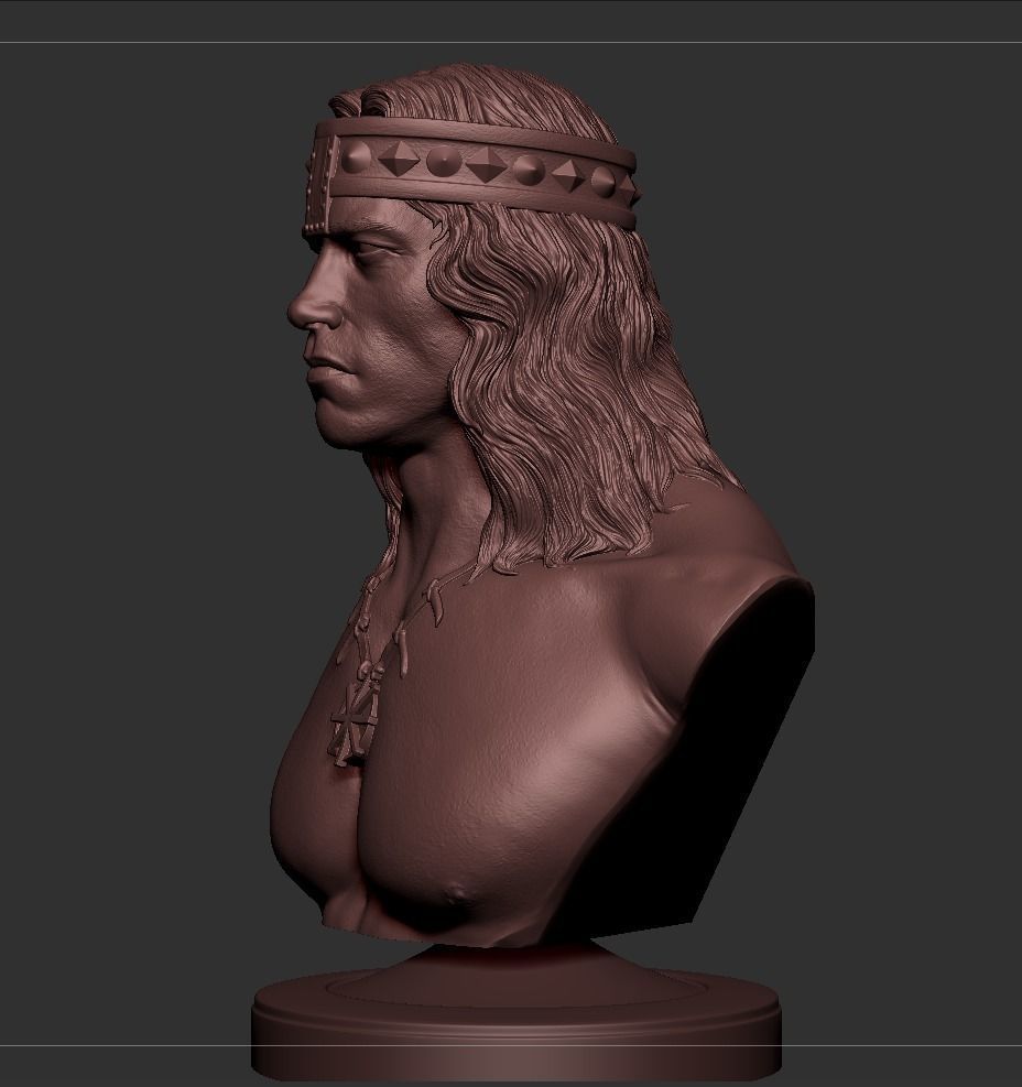 Conan - Arnold Schwarzenegger Bust 3D print model_6