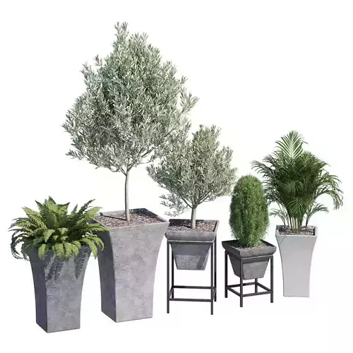 Concretelite four potted plants