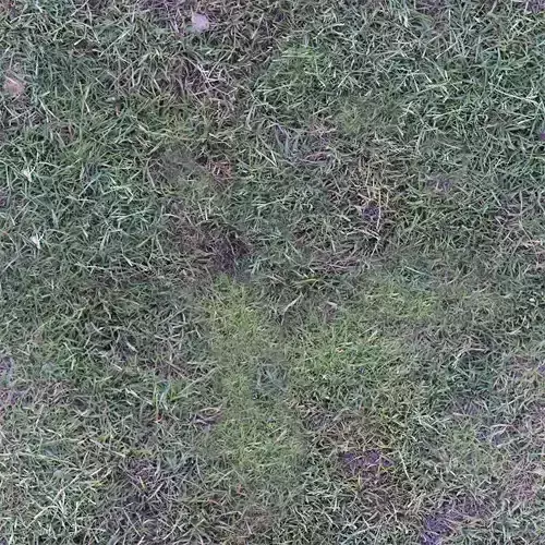 grass PBR texture Texture