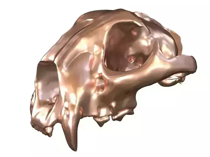 Cranium Charm Leopard Bronze
