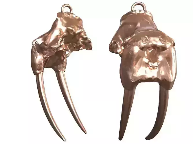 Cranium Charm Walrus Bronze