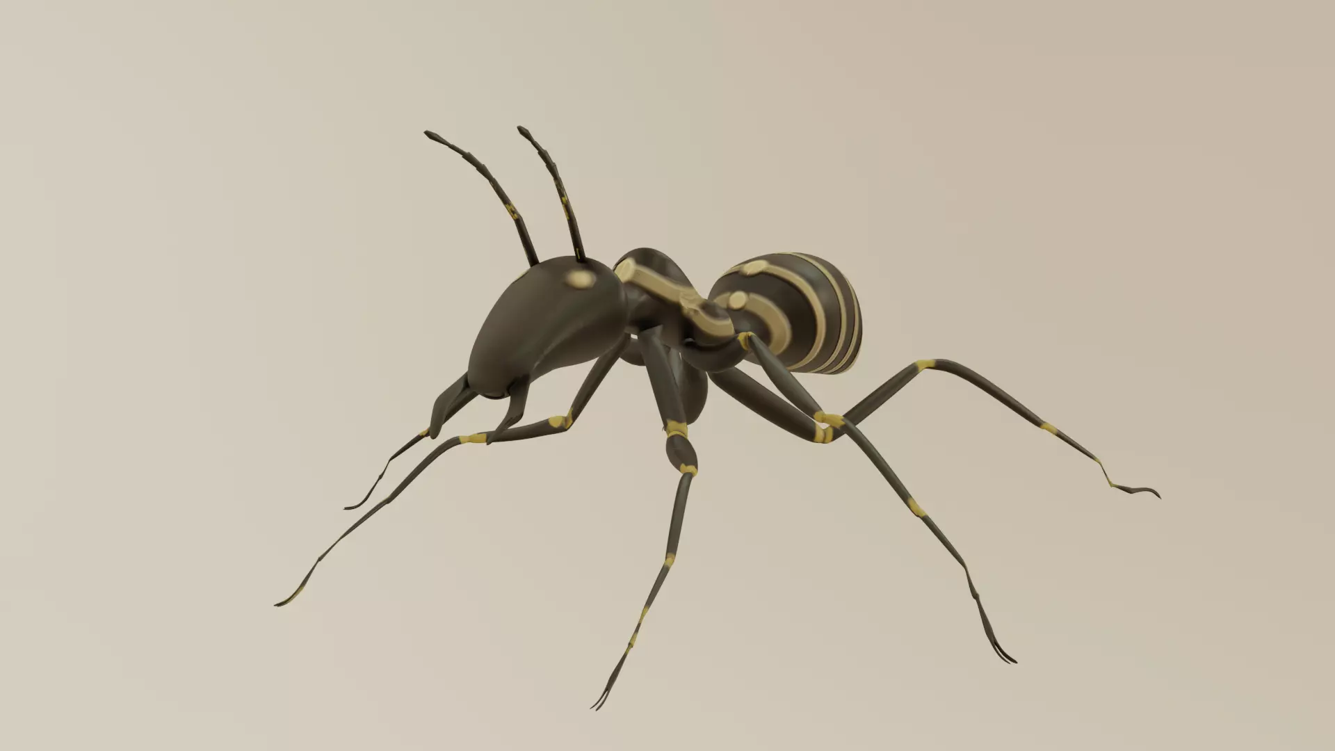 ancient ant 3D model_0