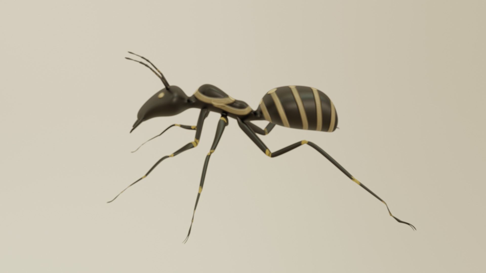 ancient ant 3D model_2