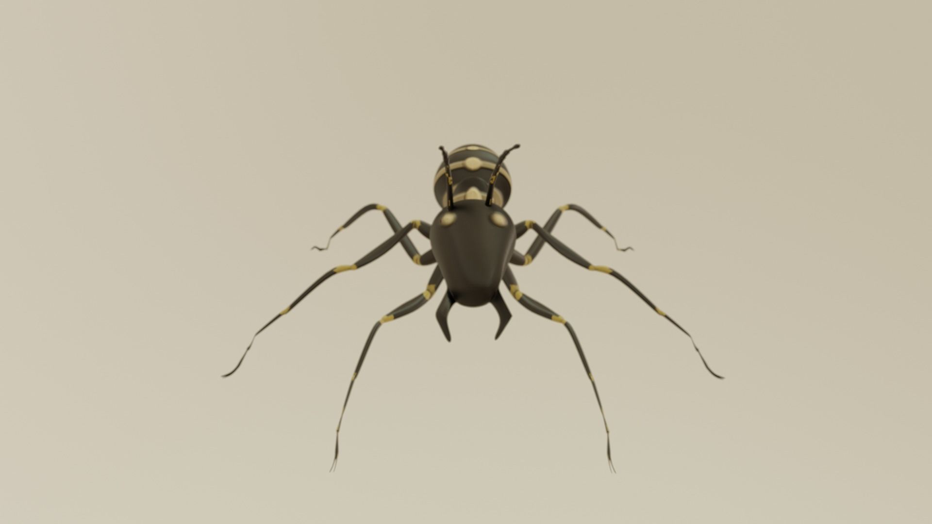 ancient ant 3D model_1