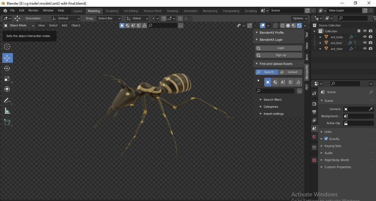 ancient ant 3D model_4