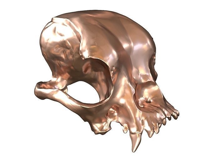 Cranium Charm Bulldog Bronze 3D print model