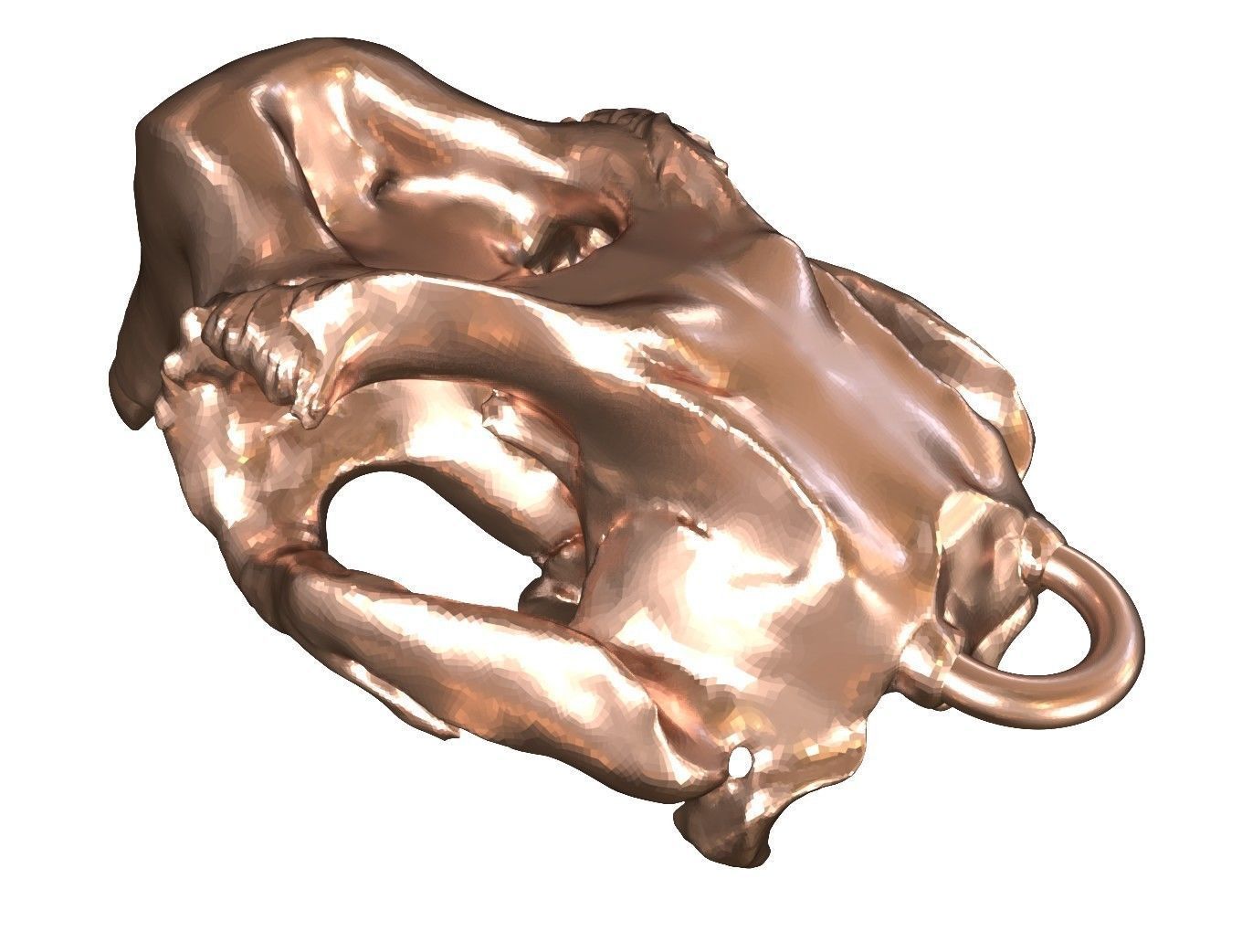 Cranium Charm Dugong Bronze 3D print model_3