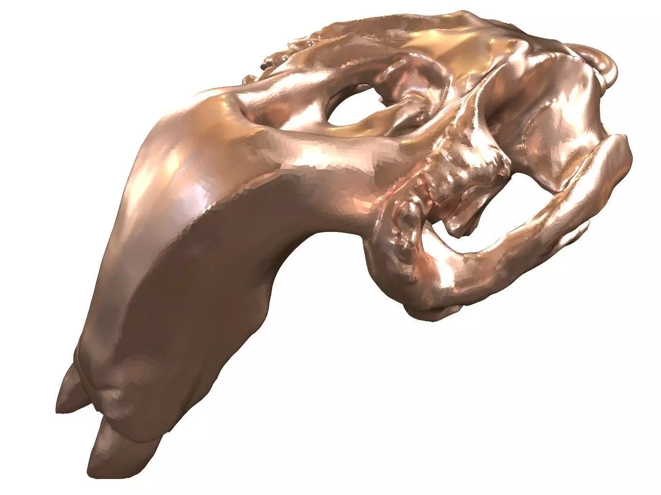 Cranium Charm Dugong Bronze 3D print model_0