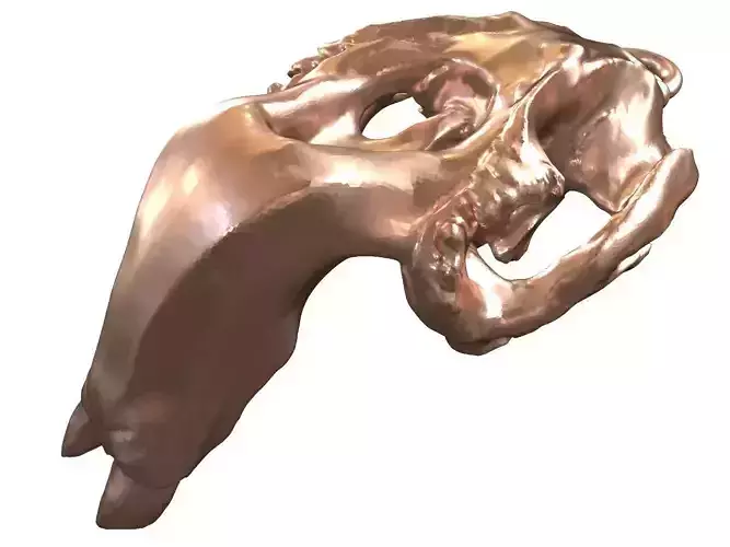 Cranium Charm Dugong Bronze 3D print model