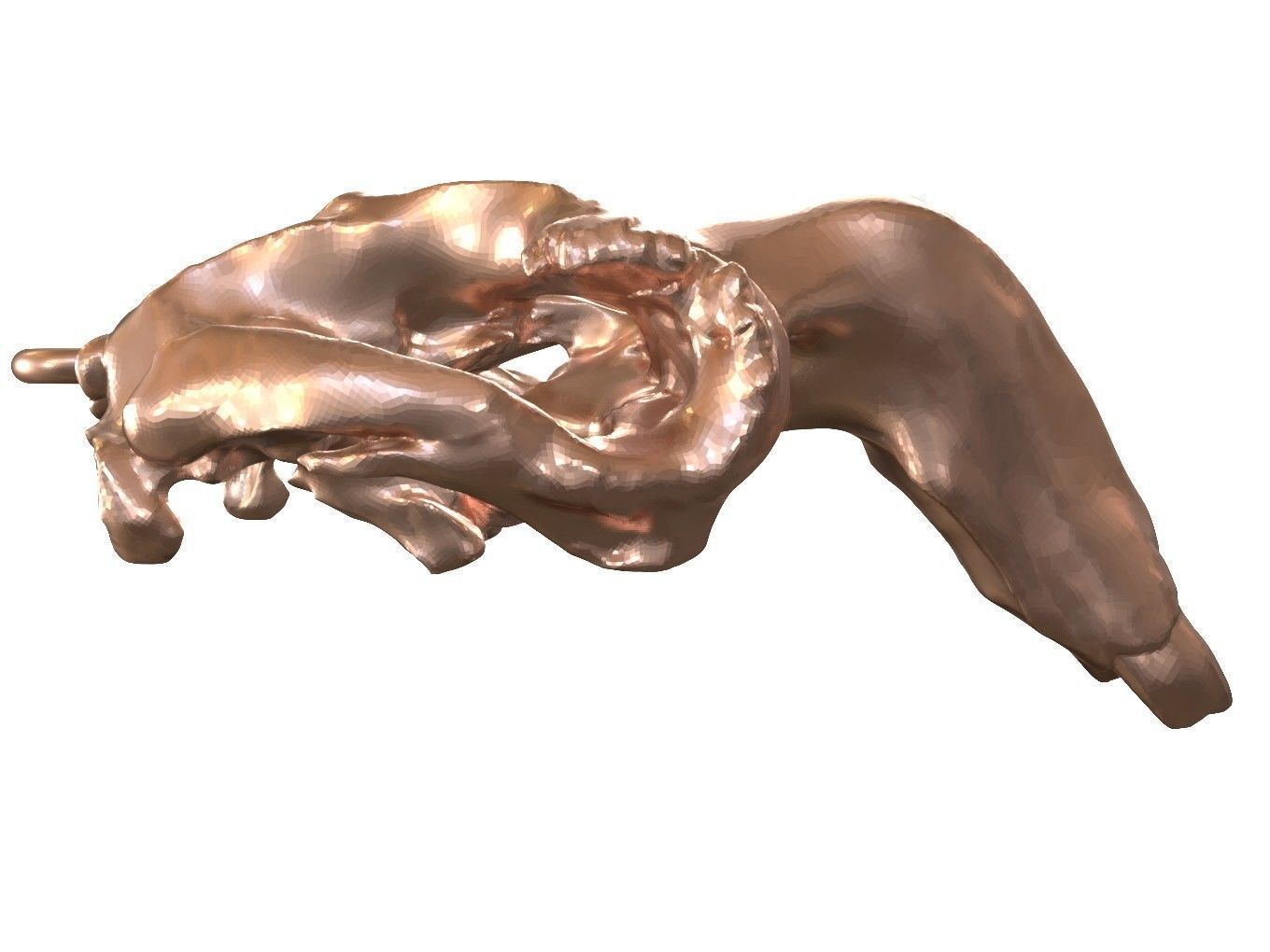 Cranium Charm Dugong Bronze 3D print model_6