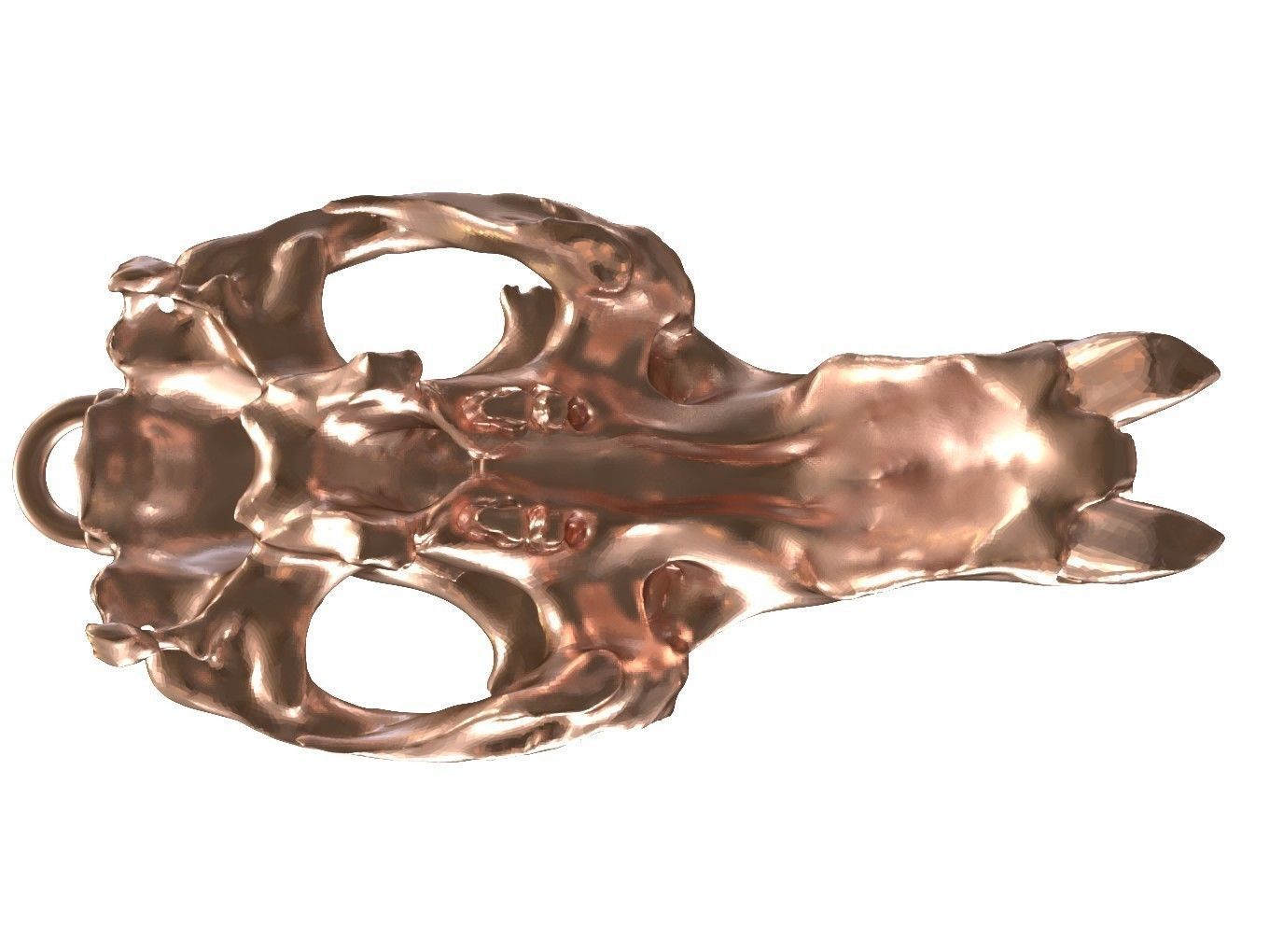 Cranium Charm Dugong Bronze 3D print model_5