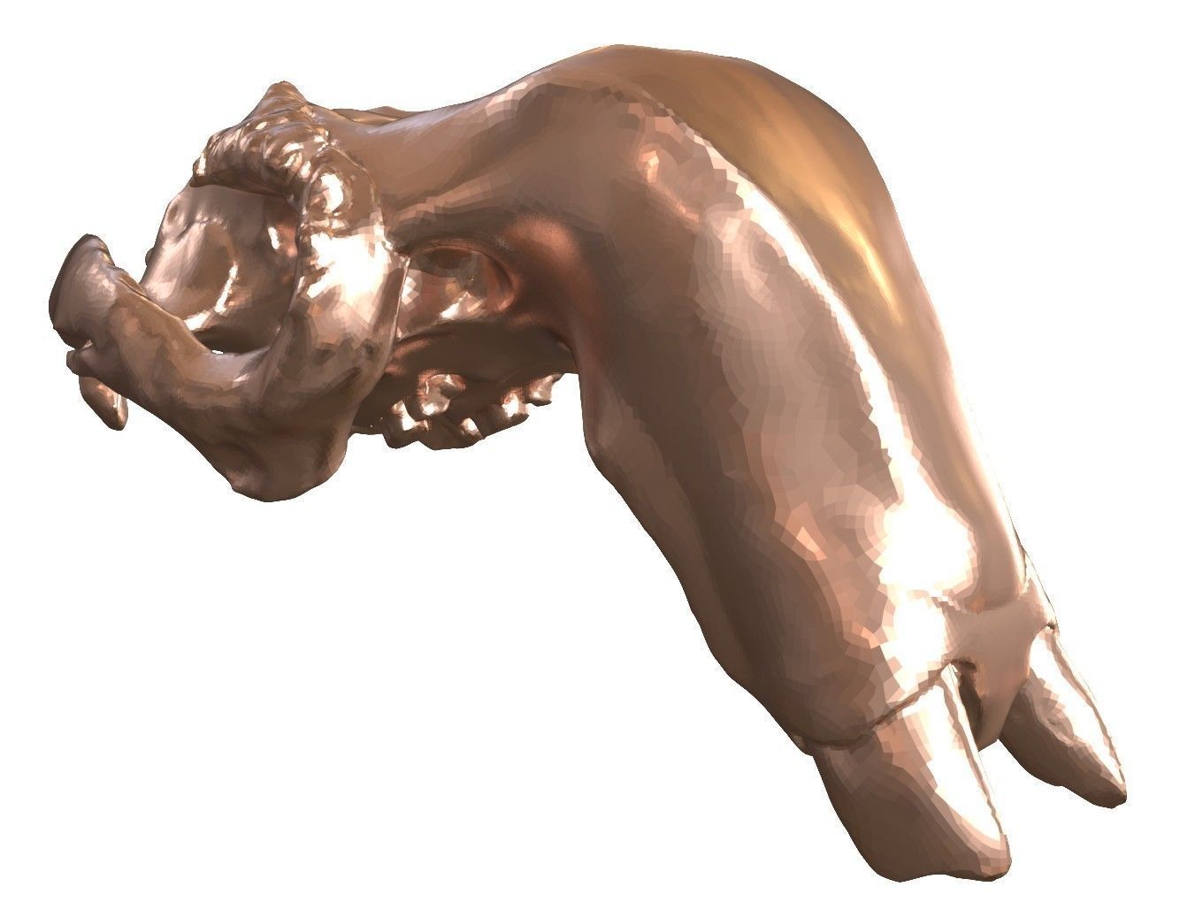 Cranium Charm Dugong Bronze 3D print model_7
