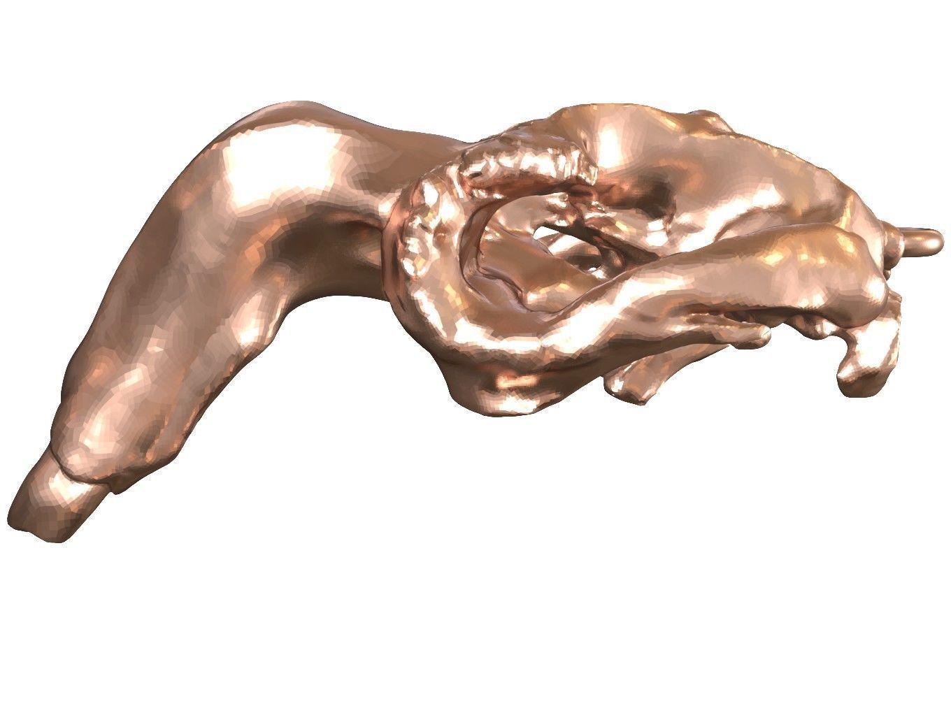 Cranium Charm Dugong Bronze 3D print model_1