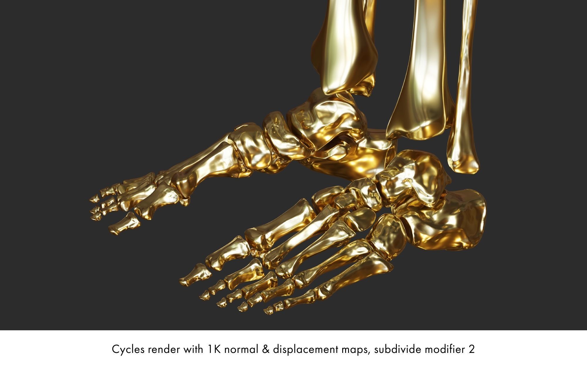 Rigged human skeletons and individual bones 3D model_16