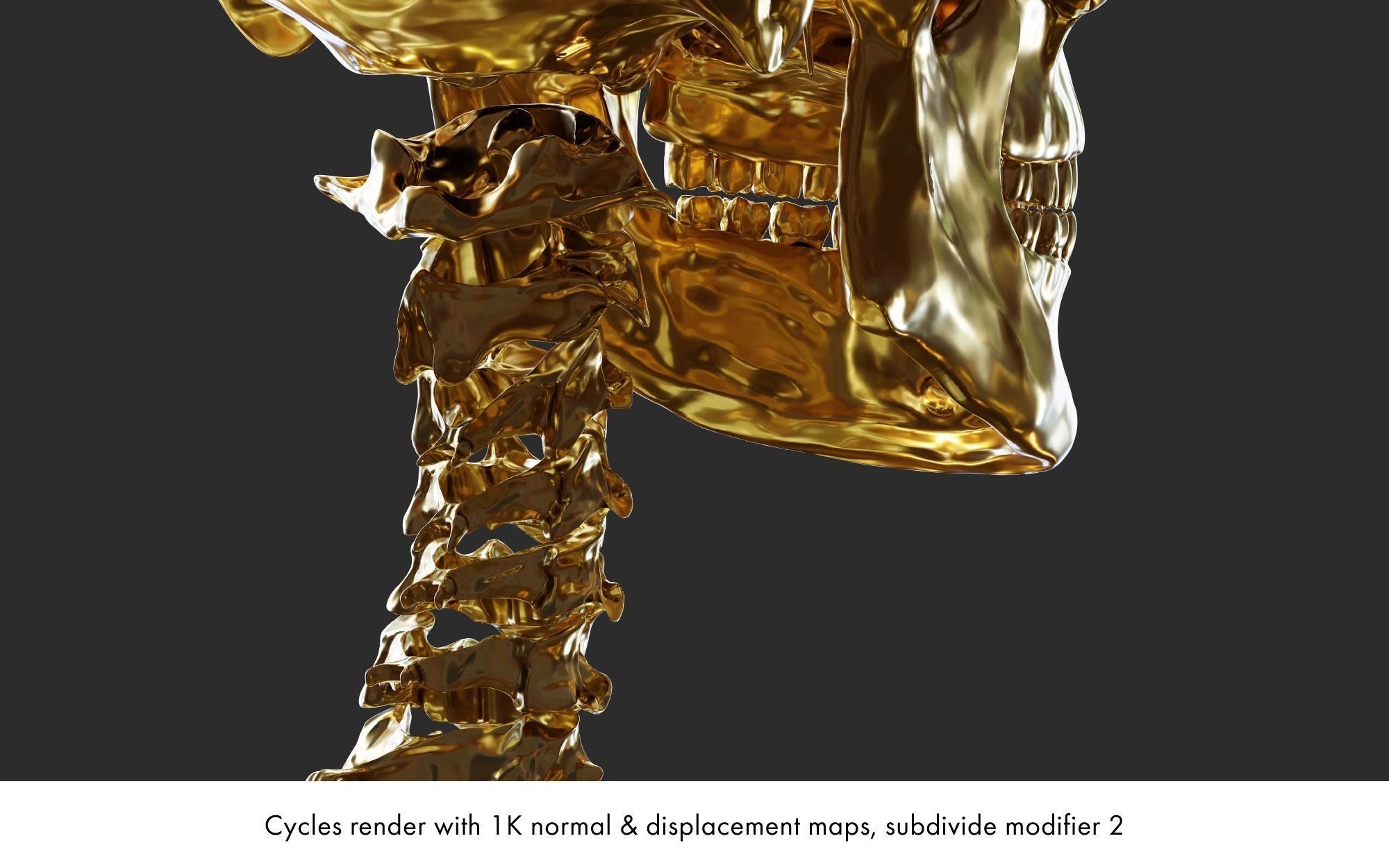 Rigged human skeletons and individual bones 3D model_7
