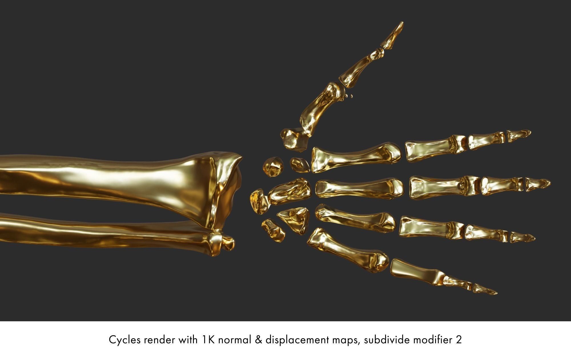 Rigged human skeletons and individual bones 3D model_13