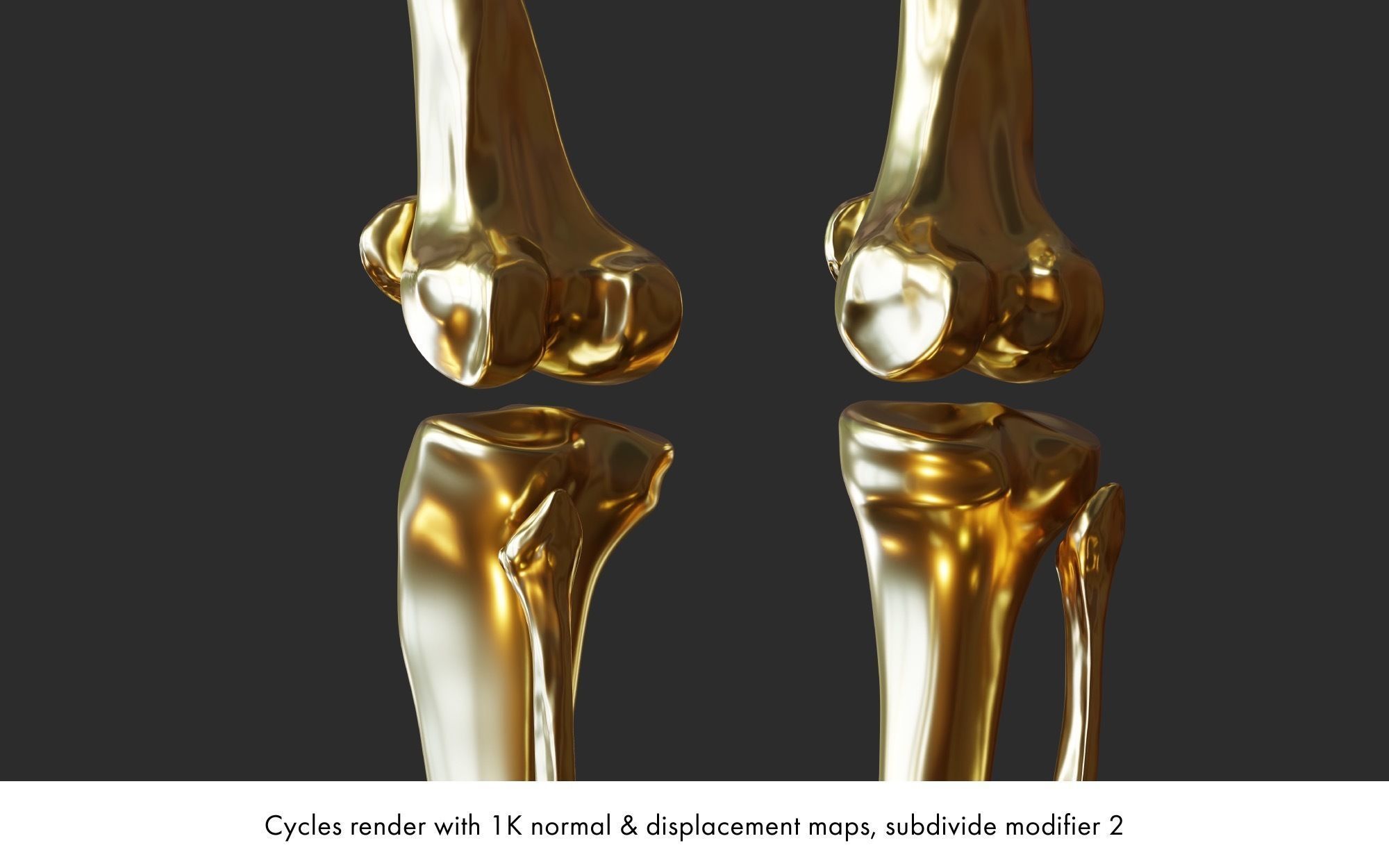 Rigged human skeletons and individual bones 3D model_15