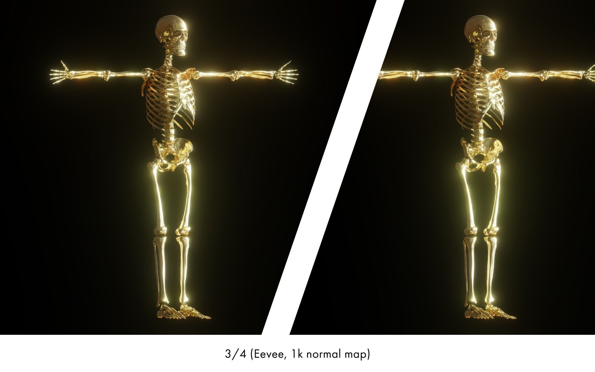 Rigged human skeletons and individual bones 3D model_32