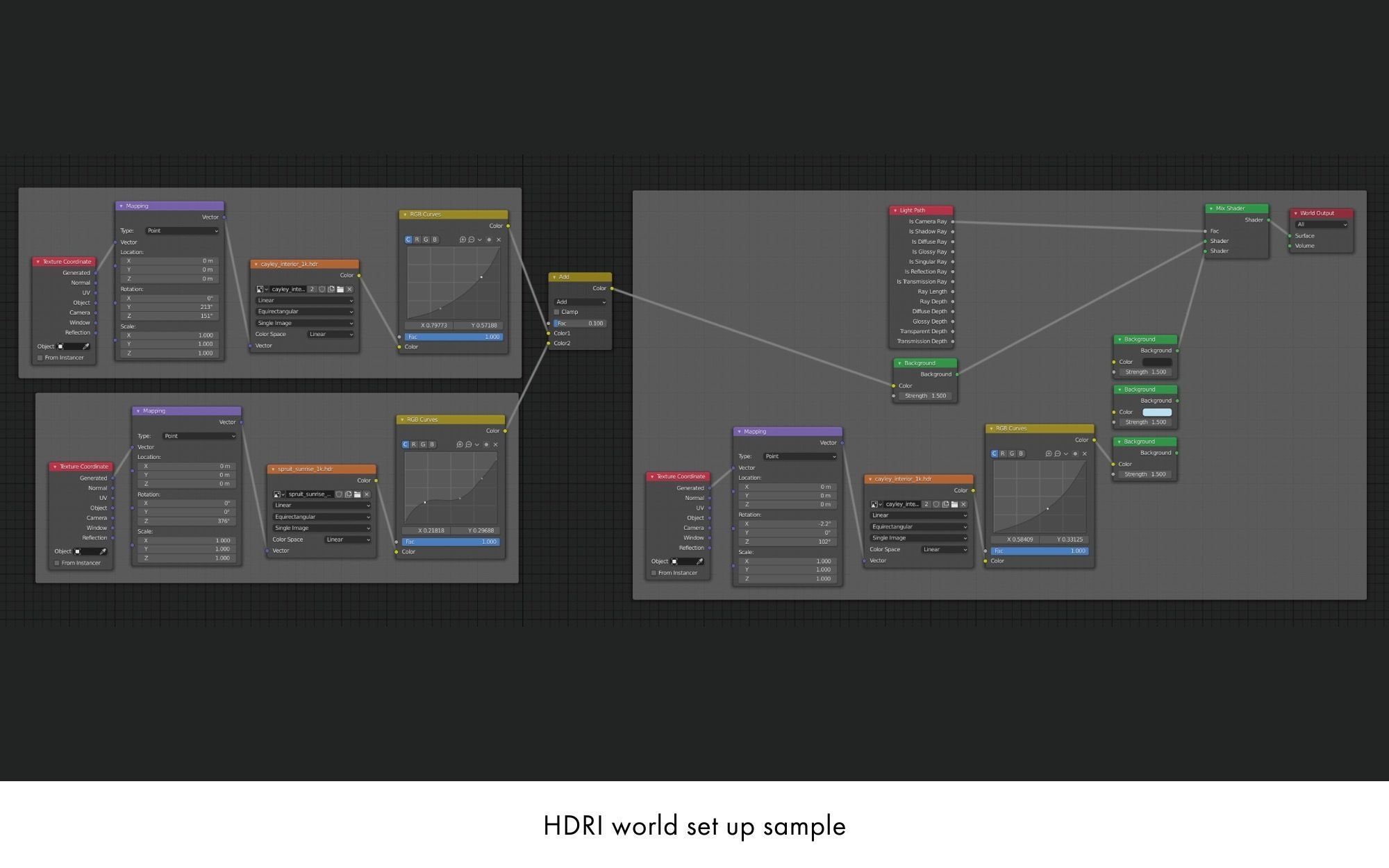 Rigged human skeletons and individual bones 3D model_21