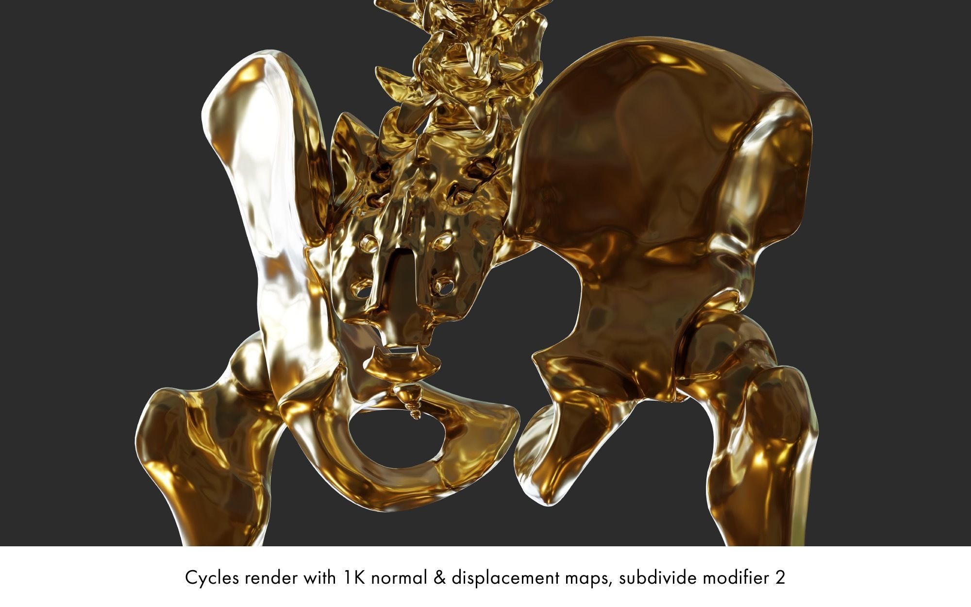 Rigged human skeletons and individual bones 3D model_14