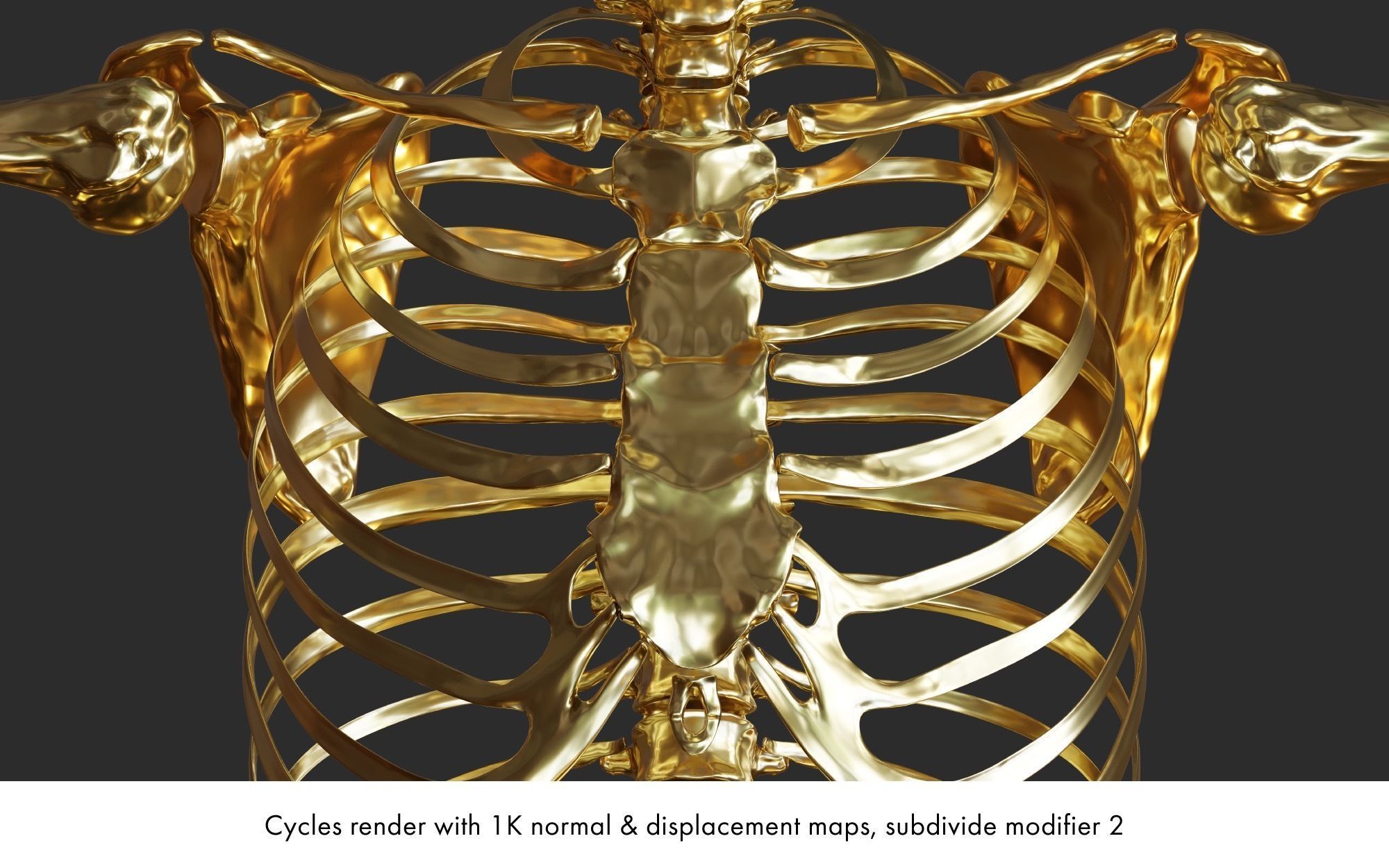 Rigged human skeletons and individual bones 3D model_10