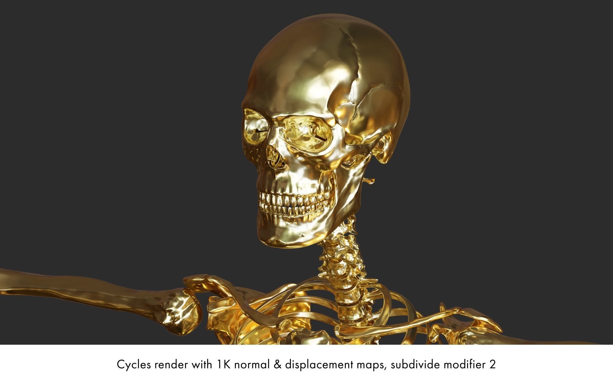 Rigged human skeletons and individual bones 3D model_9