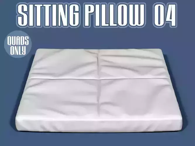 Sitting pillow 04