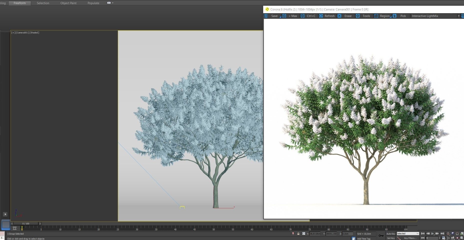 Crape Myrtle No 2 with white flowers 3D model_11