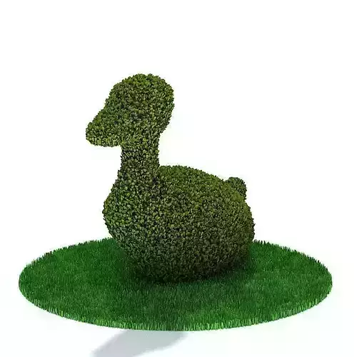 Trimmed Duck Shrub