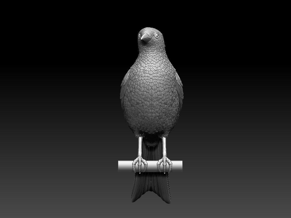 bird  magpie 3D print model_5