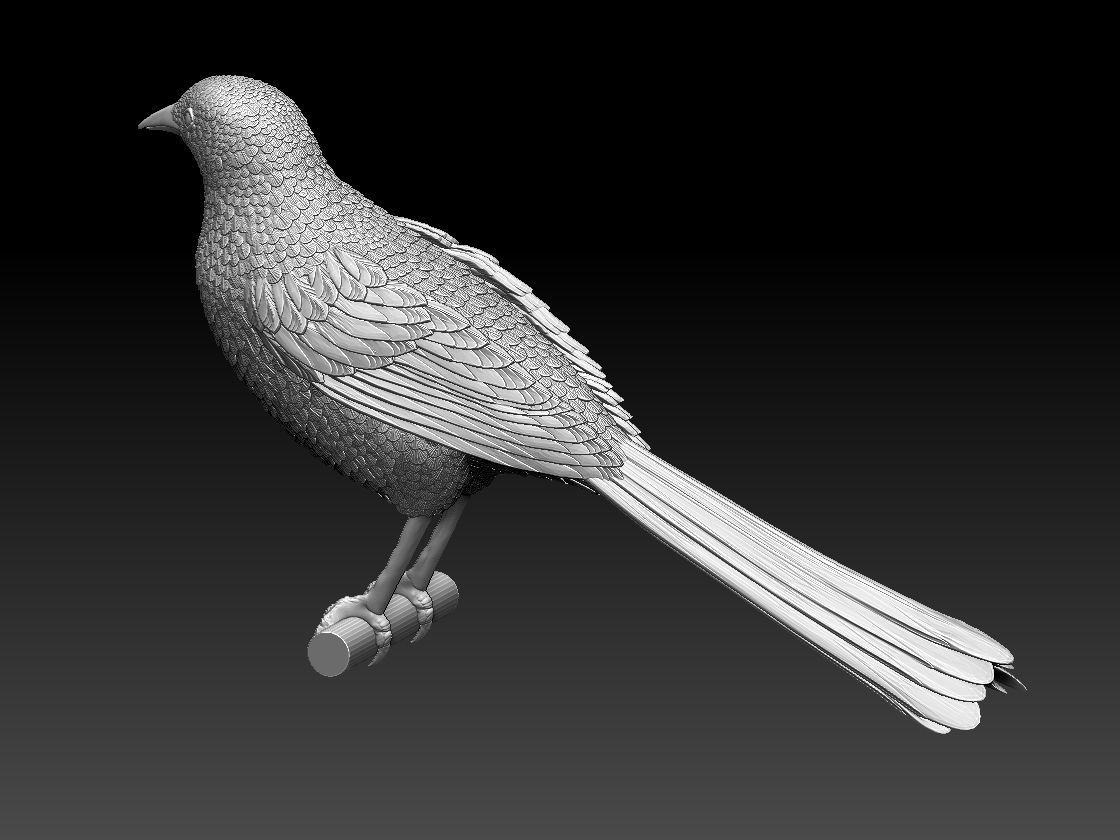 bird  magpie 3D print model_1