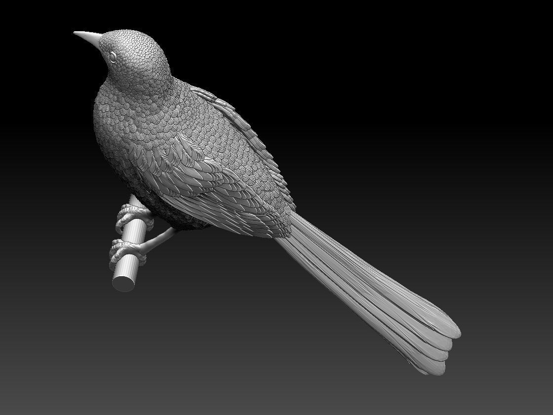 bird  magpie 3D print model_8
